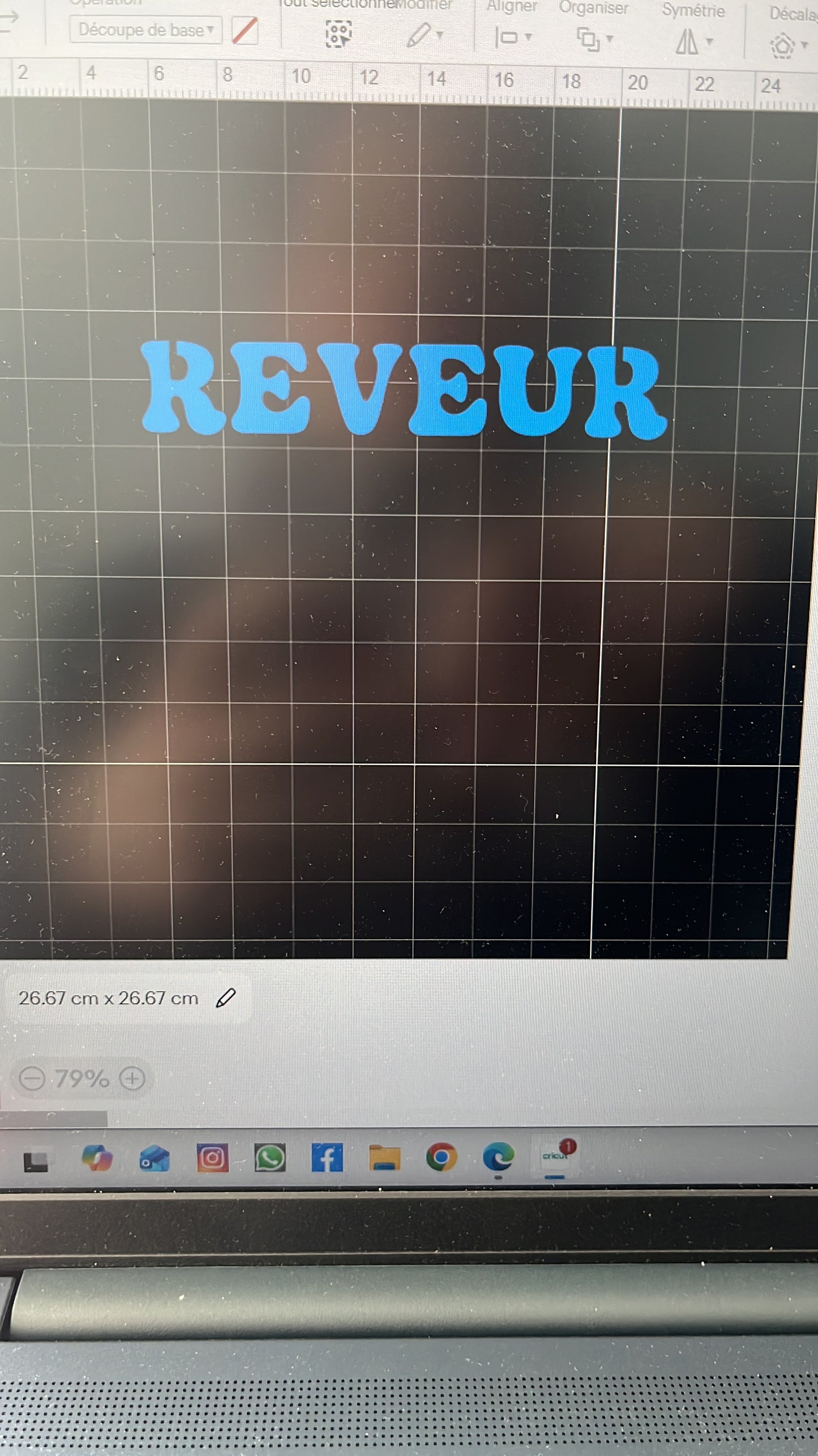 Sweat à capuches oversize adultes personnalisé