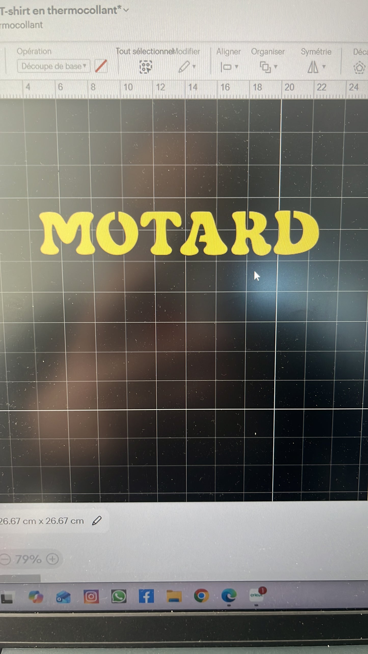 Sweat à capuches oversize adultes personnalisé