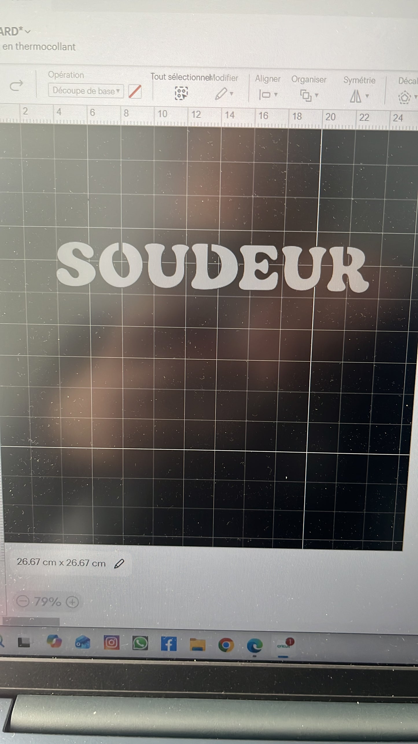 Sweat à capuches oversize adultes personnalisé